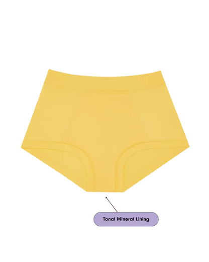 Brief