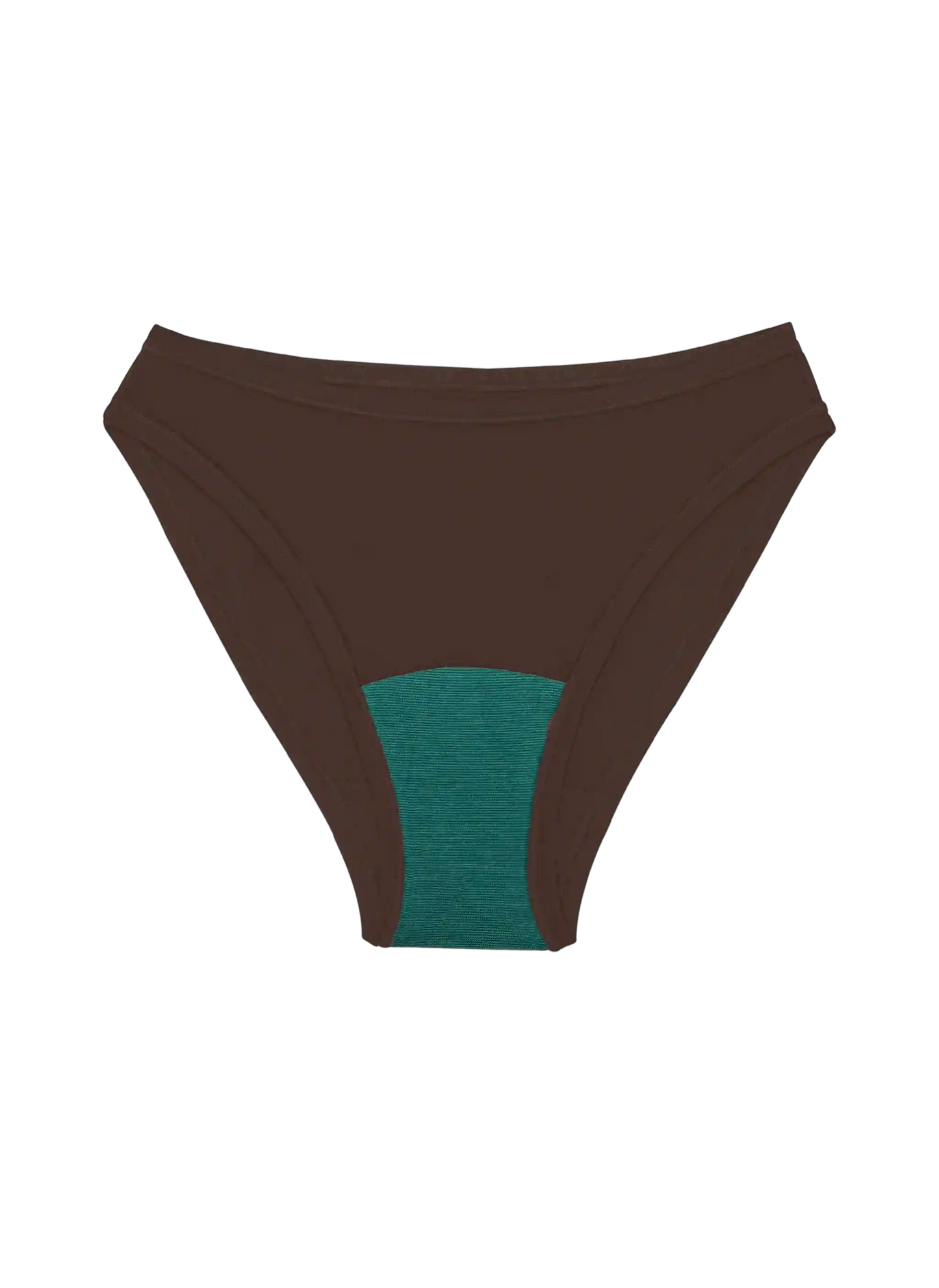 High Rise Bikini