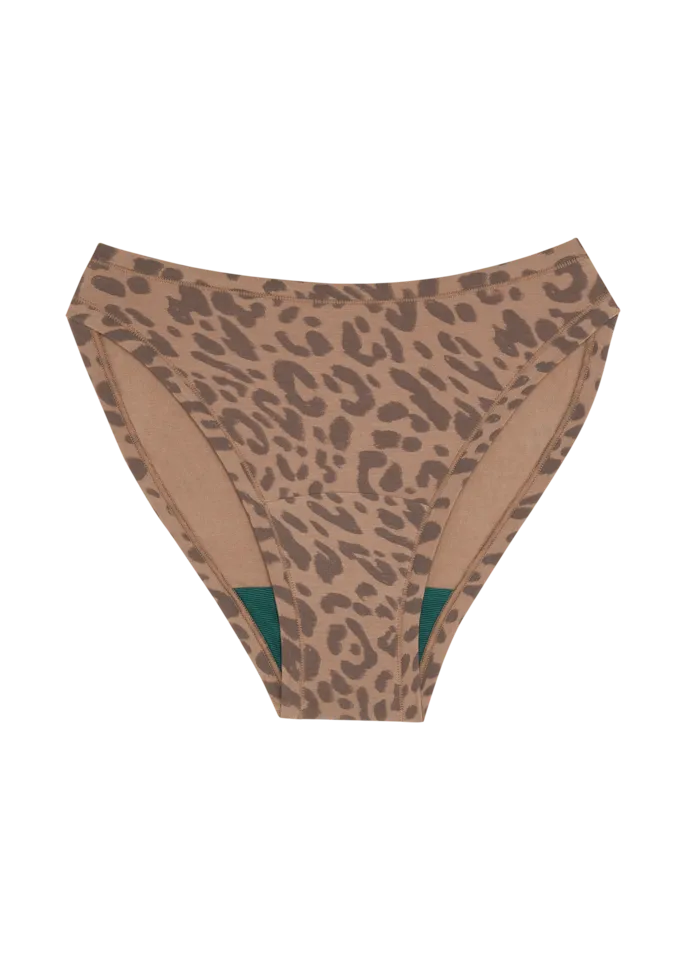 High Rise Bikini