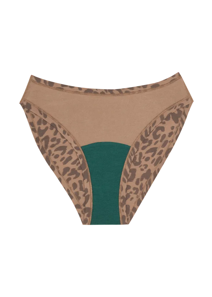High Rise Bikini