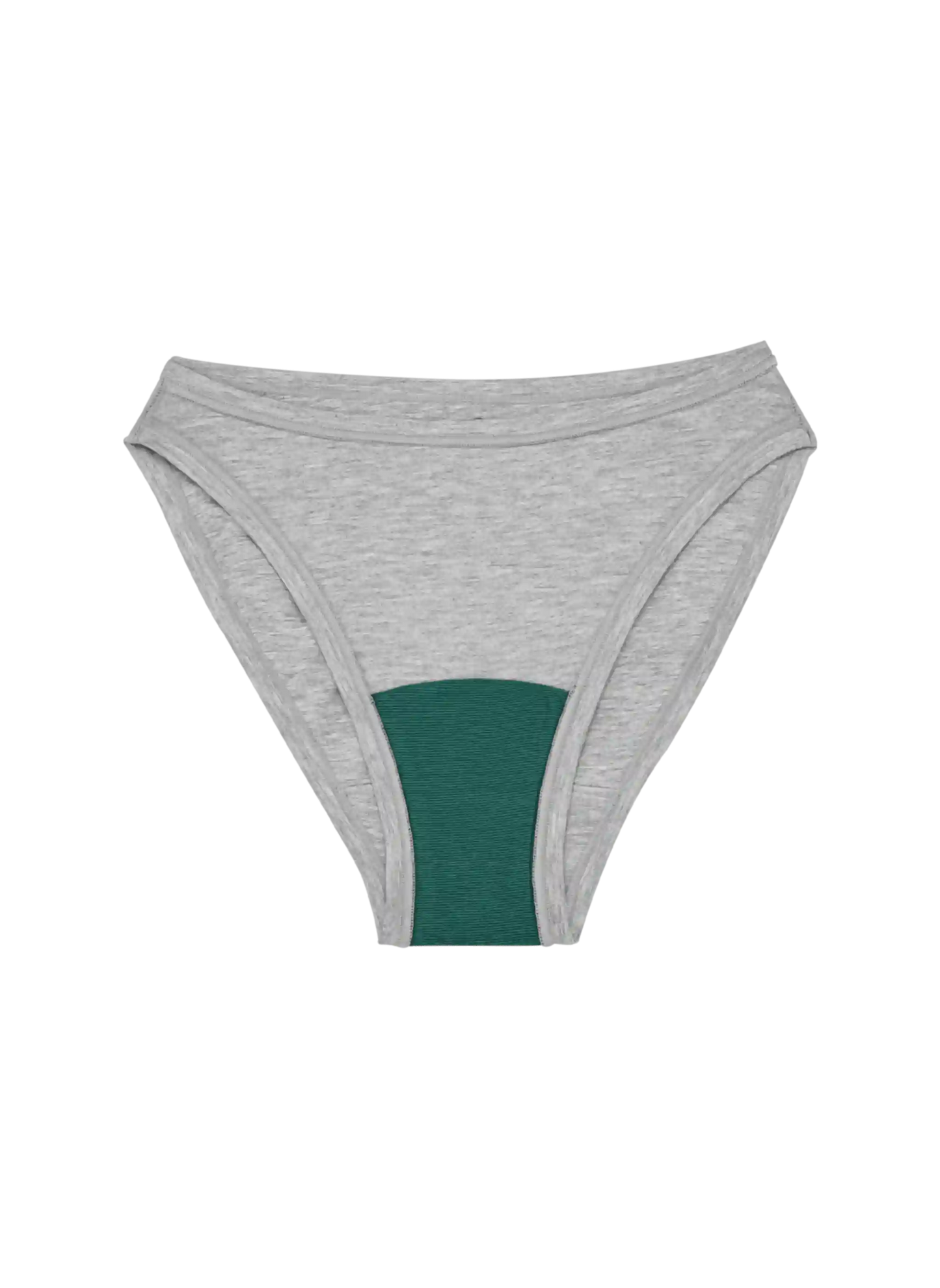 High Rise Bikini