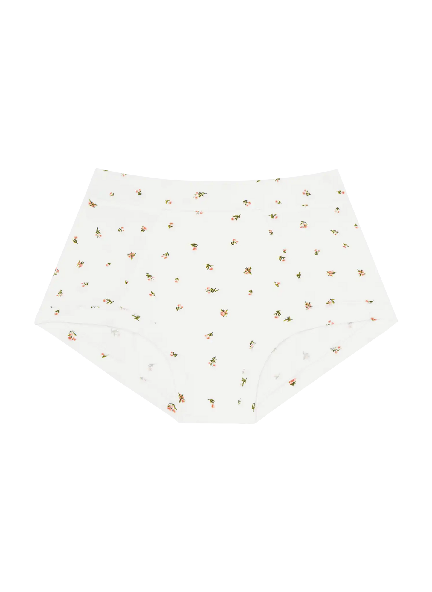 Brief