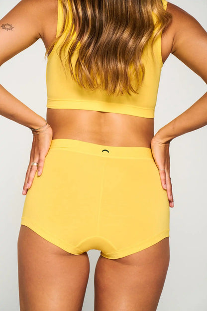 Brief